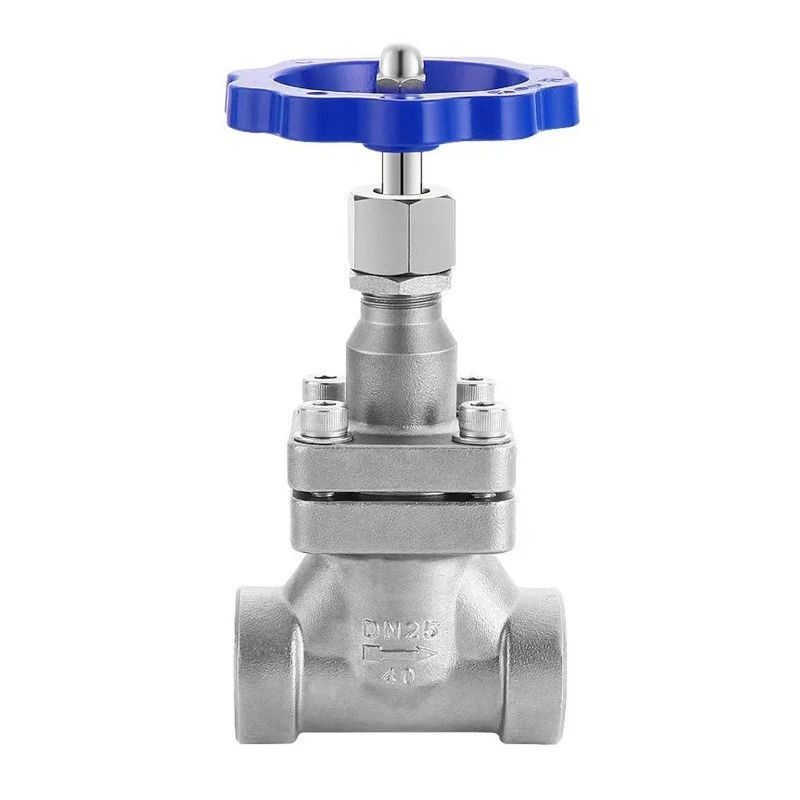 cryogenic globe valve1