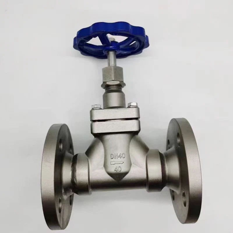 cryogenic globe valve5